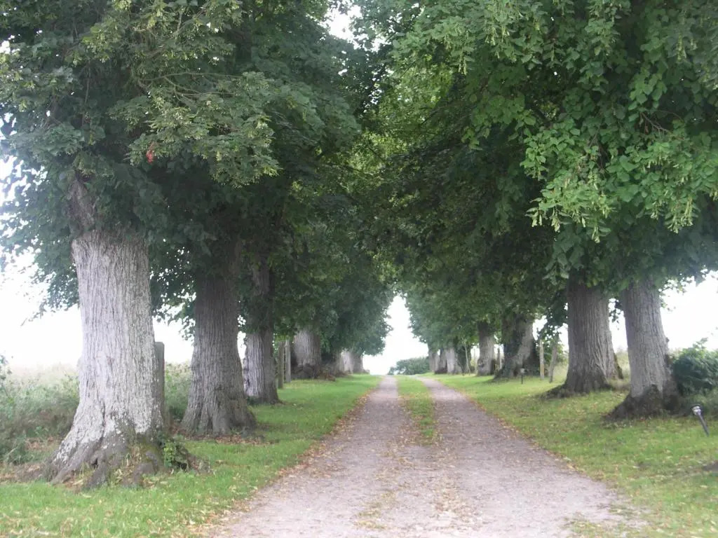Manoir de Coulandon