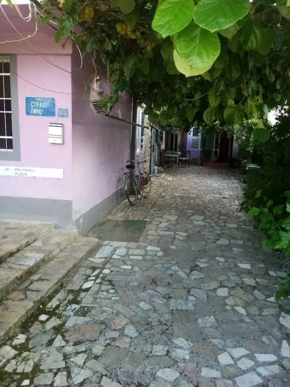 pink Hostel Mimi