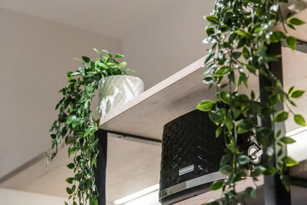 GuestReady - Mercadores 150