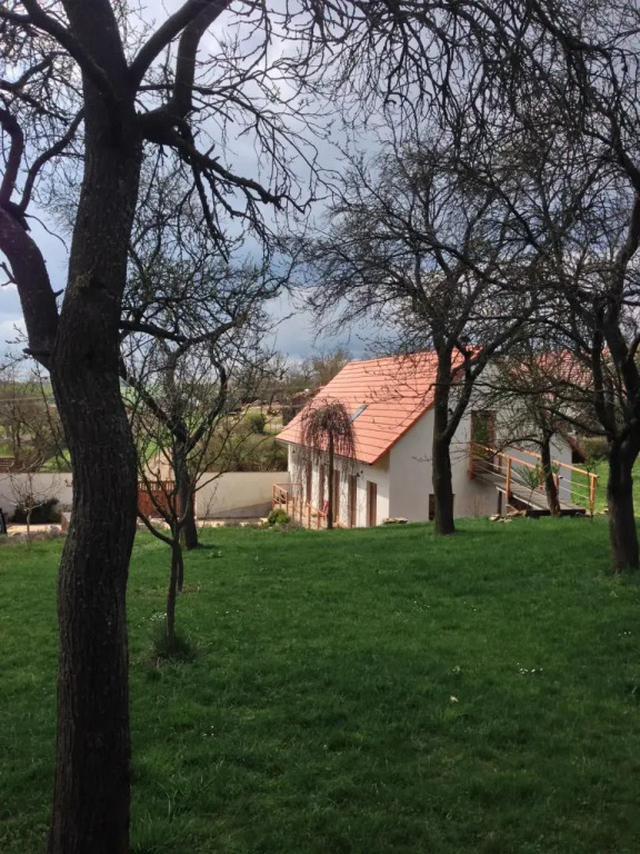 U Mišpule