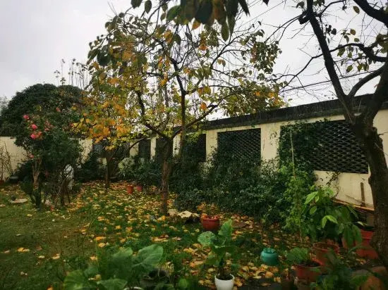 Shanghai Mu She Homestay