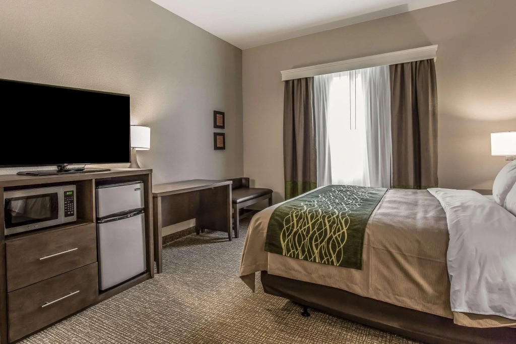 Comfort Inn & Suites Snyder