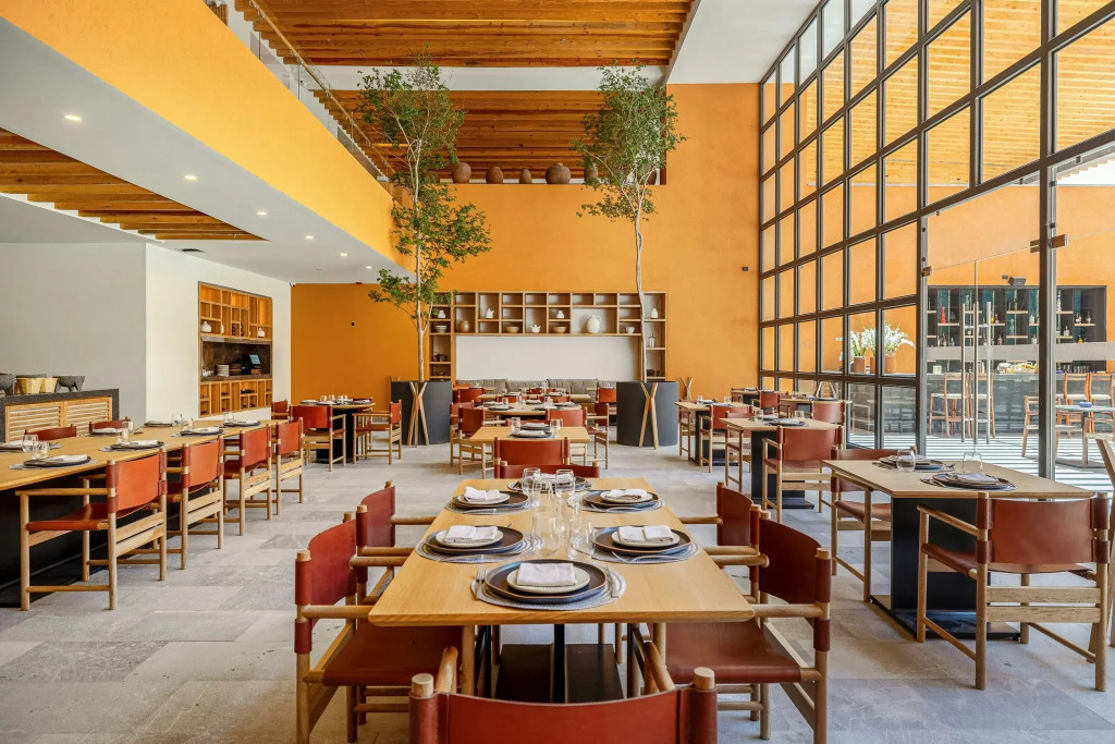 Clevia, San Miguel de Allende, Autograph Collection