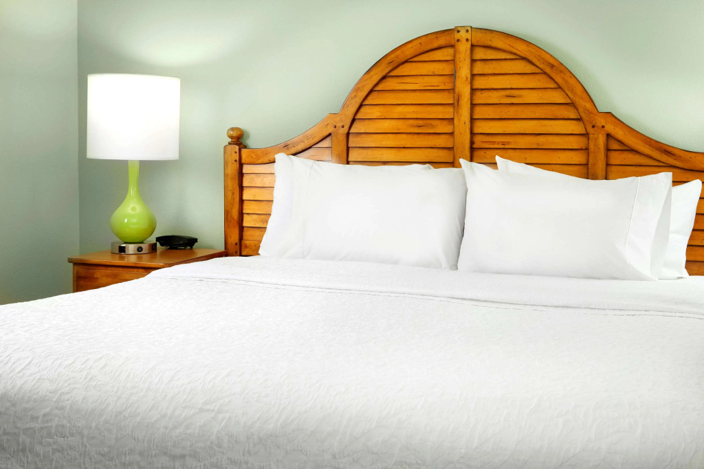 Hampton Inn & Suites Savannah/Midtown