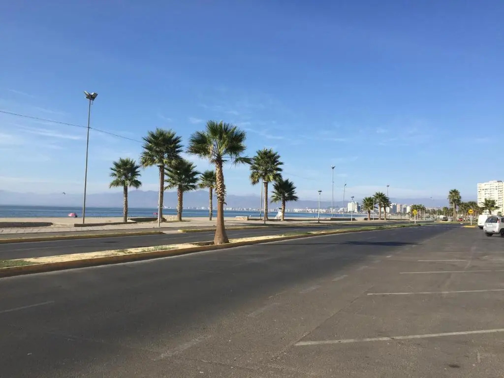 Algarrobal