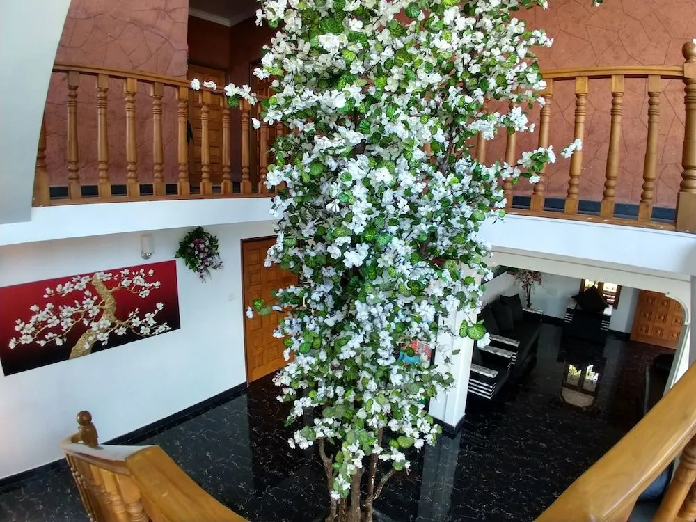 Raposo Resorts