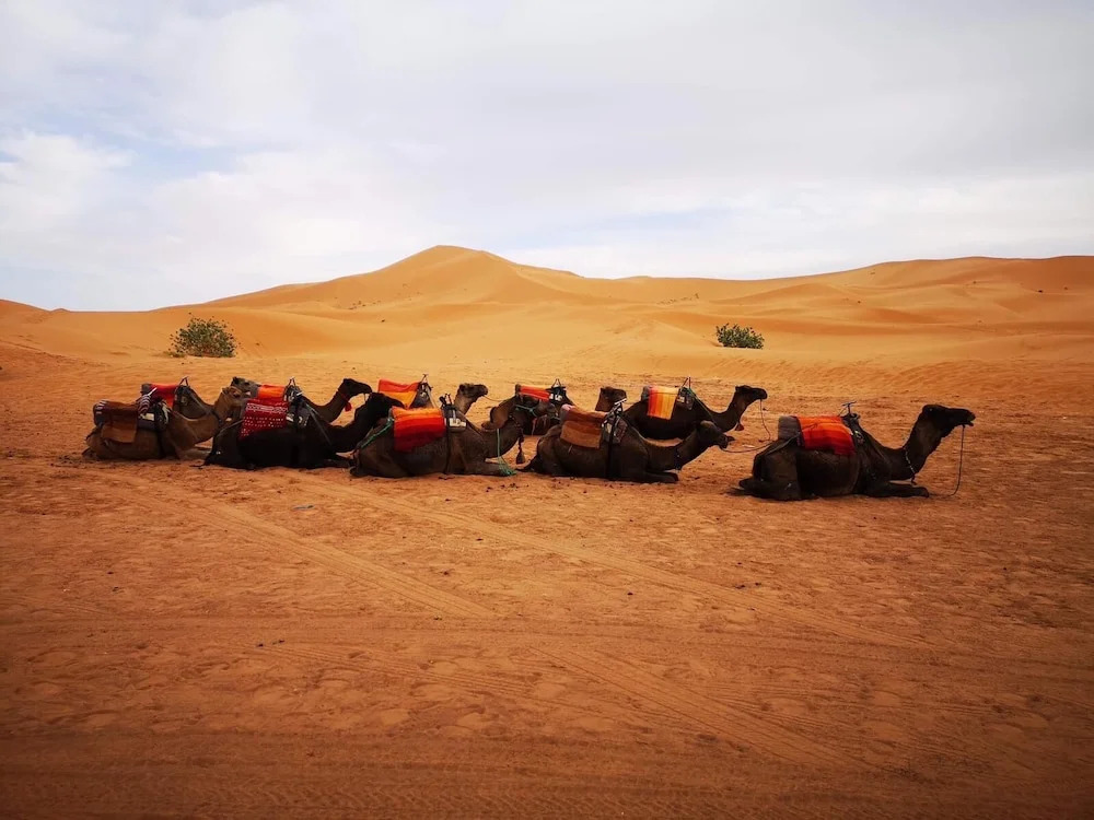 Tiwira Camp