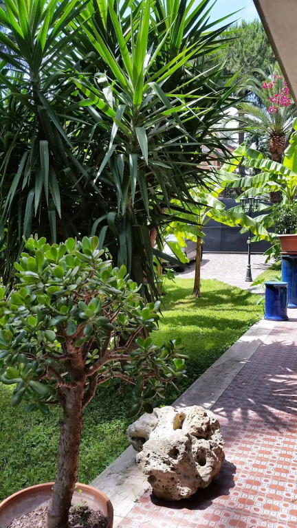 Il Giardino di Giulia 2