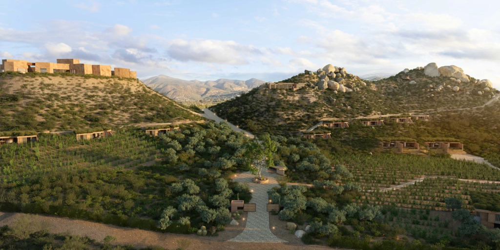 Banyan Tree Veya, Valle de Guadalupe