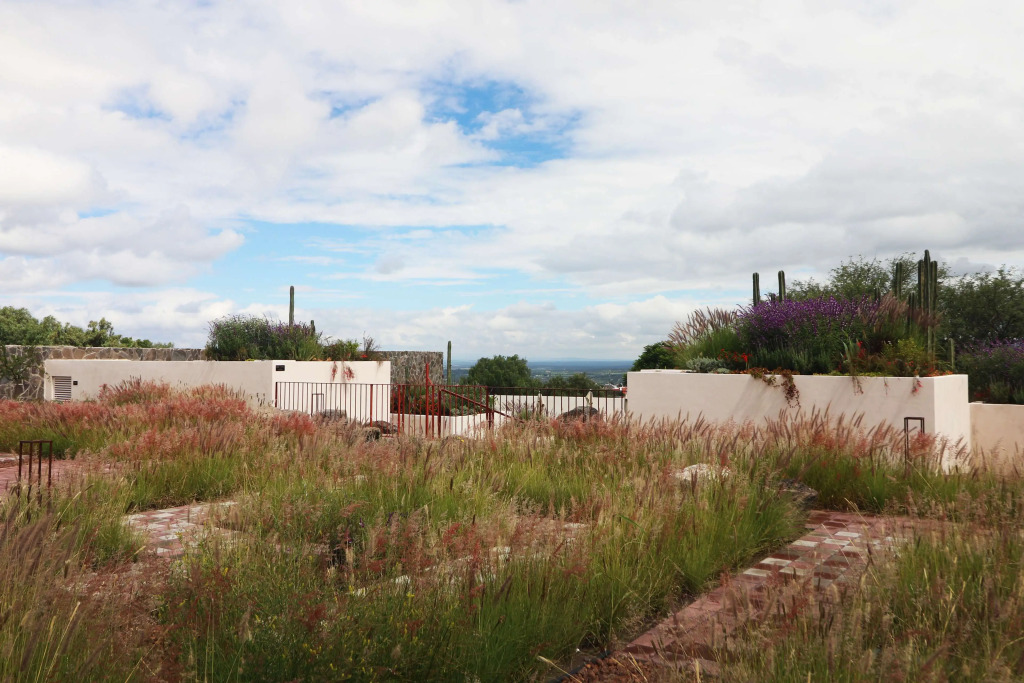 Albor San Miguel de Allende, Tapestry Collection by Hilton