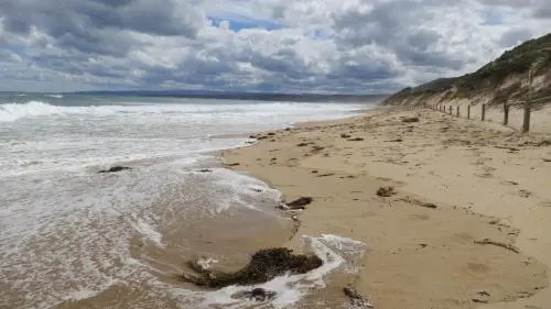 Holiday Home in the Heart of Anglesea