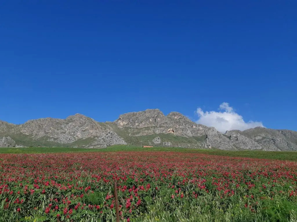Agriresort Crapa Licca