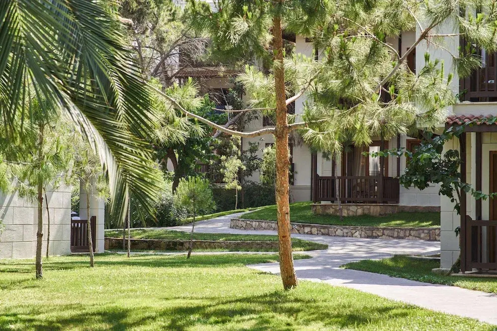 Sorgun Park