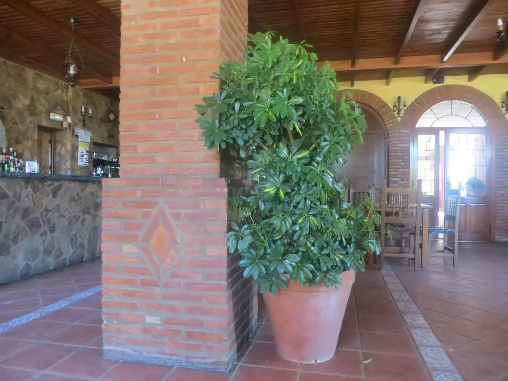 Hostal Campoabierto