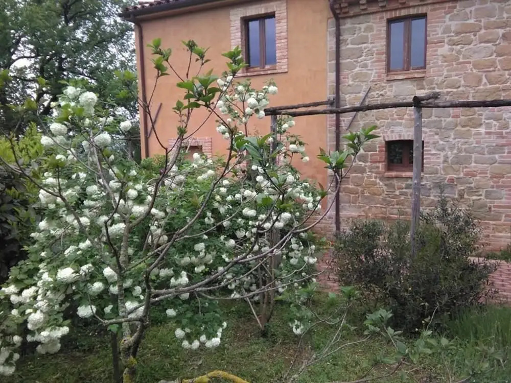 Terra di Magie