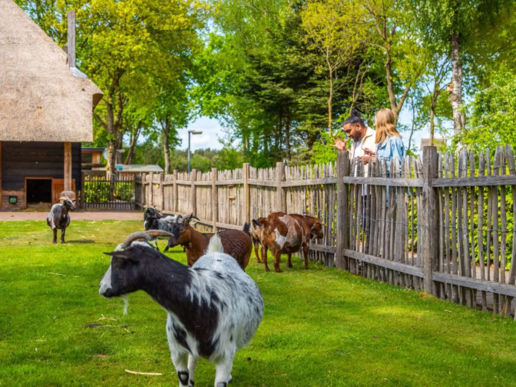 EuroParcs Resort De Wije Werelt 11267