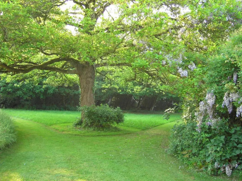 Appartement Domaine de la Freslonnière