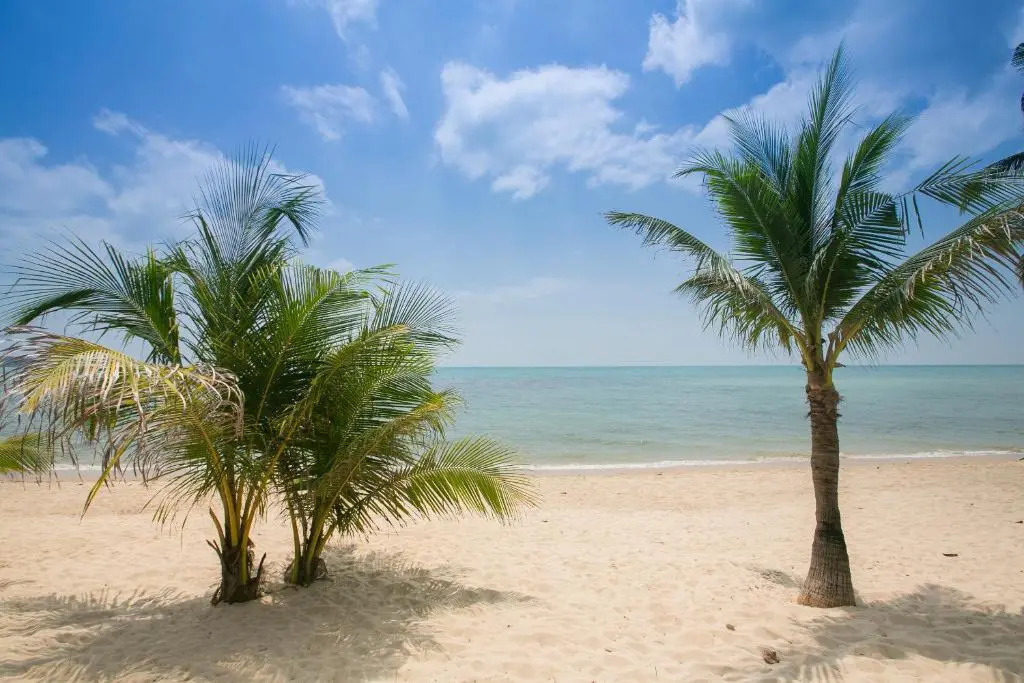 Lamai Resort