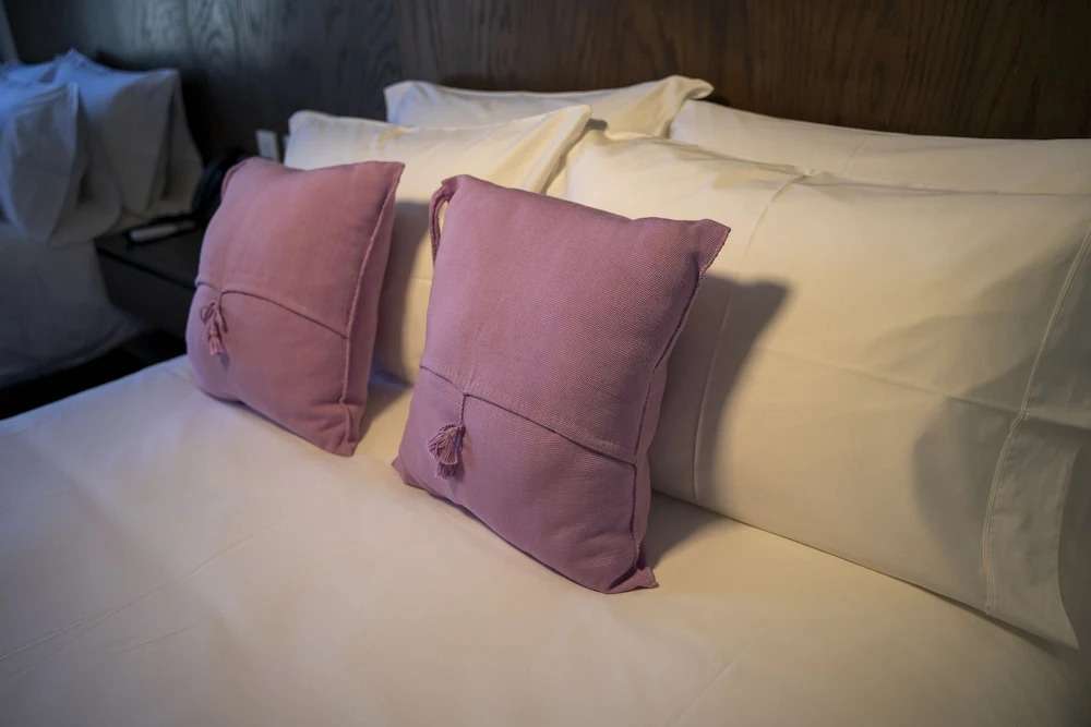 Hotel Dex Tlaquepaque