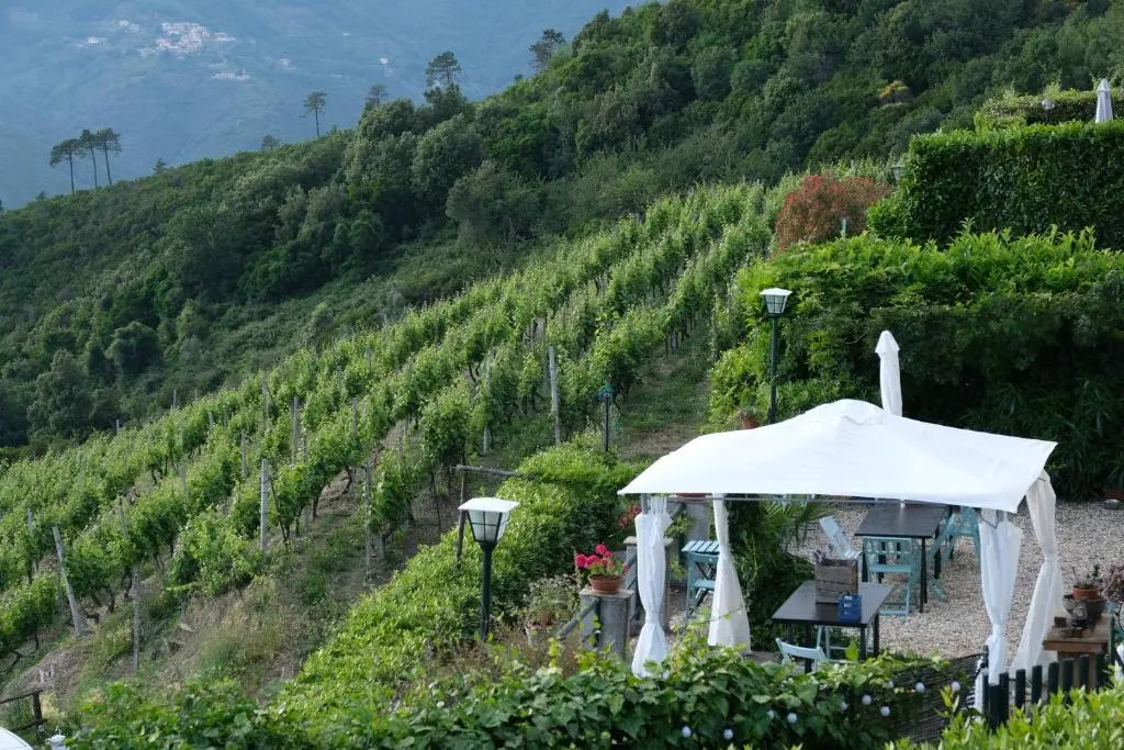 Casale In Vigna, CinqueTerreCoast