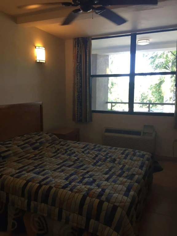 Palm Residence