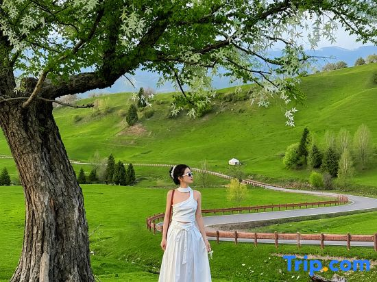 Batai Garden Boutique Retreat · Snow Mountain Wild Luxury · Birch Forest · Fruit · High Tea & Treats