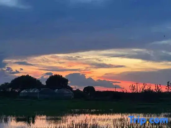 Cleanature Organic Farm Resort