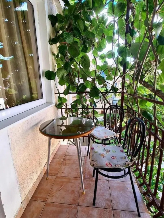 Olive Garden Apartments Petrovic