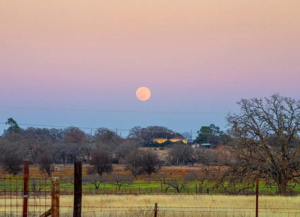 Hollmig Moon View - dog friendly