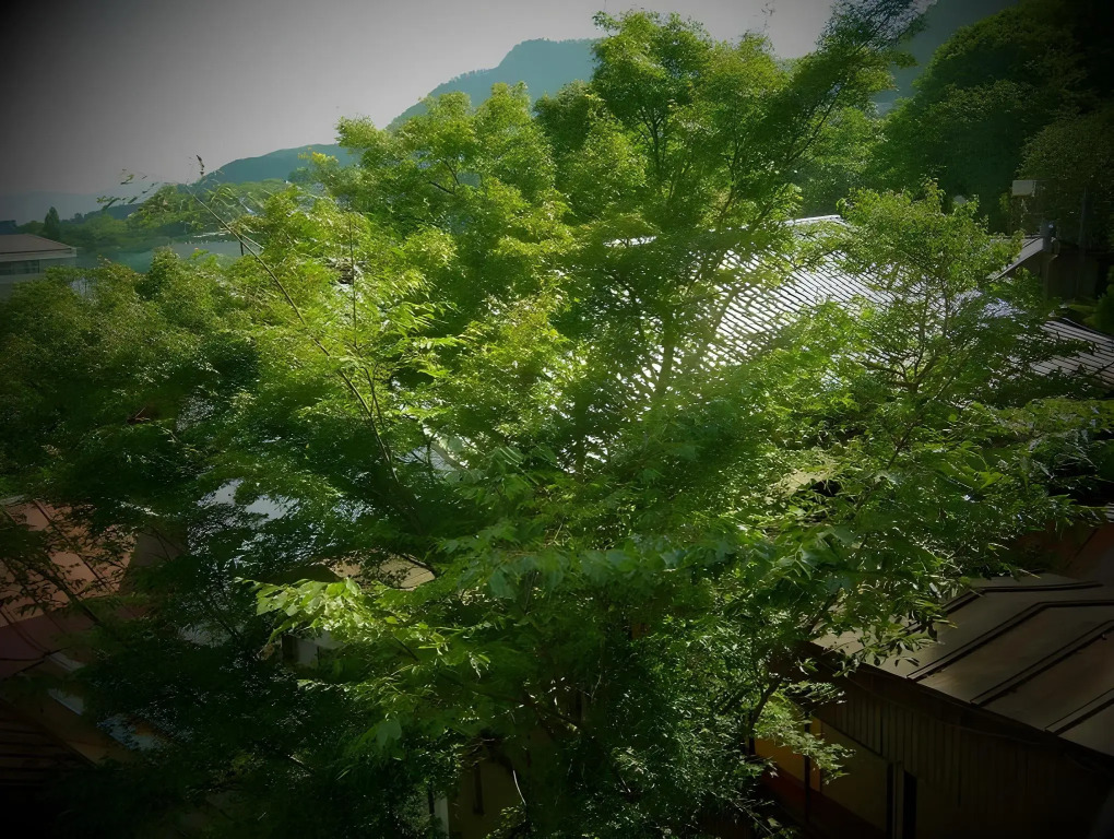 Yamanokami Onsen
