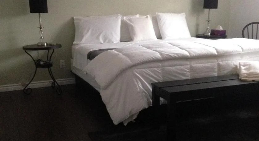 The Purple Frog Bed & Breakfast