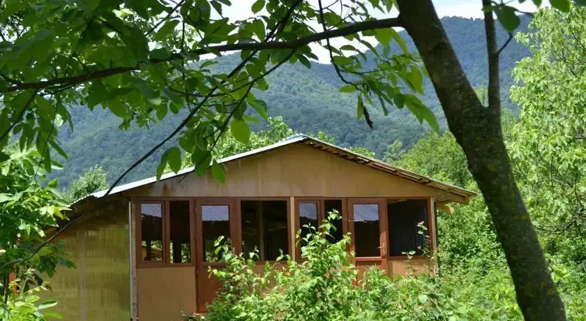 Bio Yard
