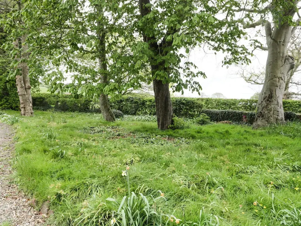 Chestnut Cottage