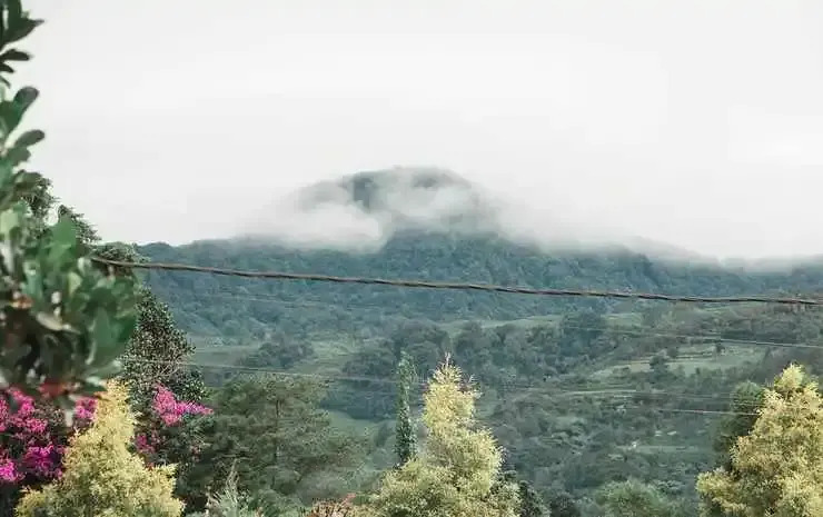 Villa Rone - Spanish Garden Vibe in PUNCAK