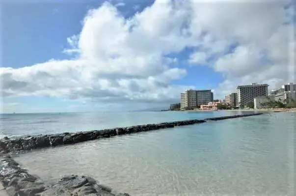 Kuhio Village 802A Cozy Studio with Ocean View!