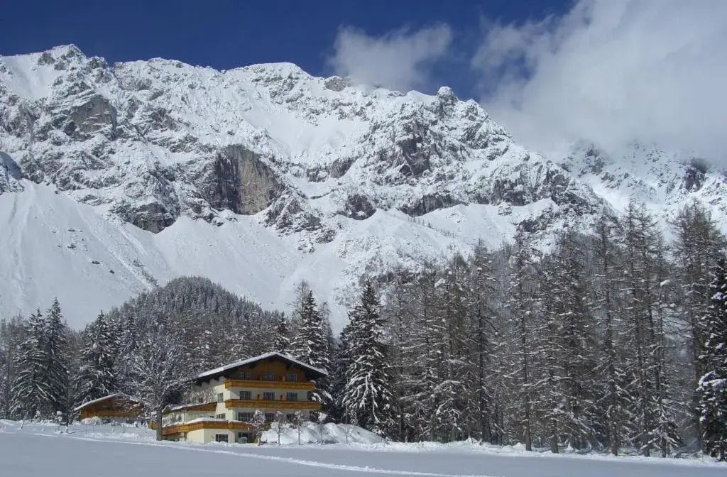 Alpenperle