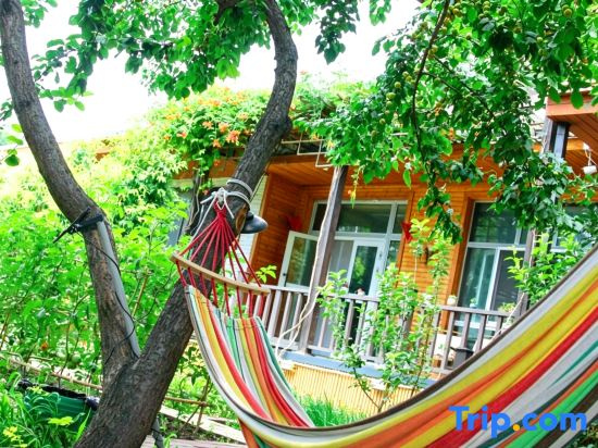 Yining Runi Suoyuan Homestay
