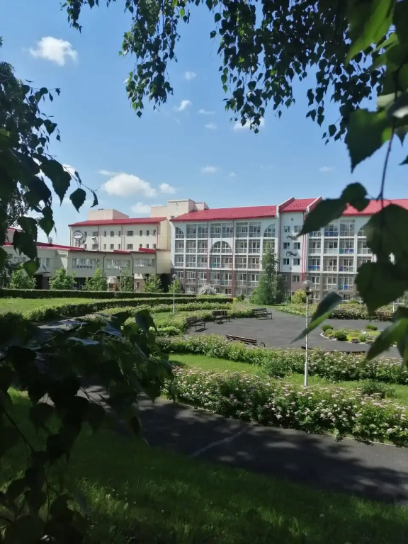 Борисовский