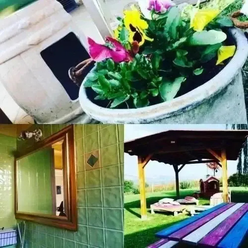 Agriturismo e Cantina Il Gualdo di Sotto
