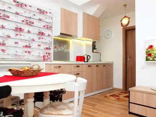 Old Town Apartment