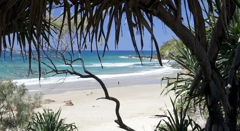 Pacific on Coolum