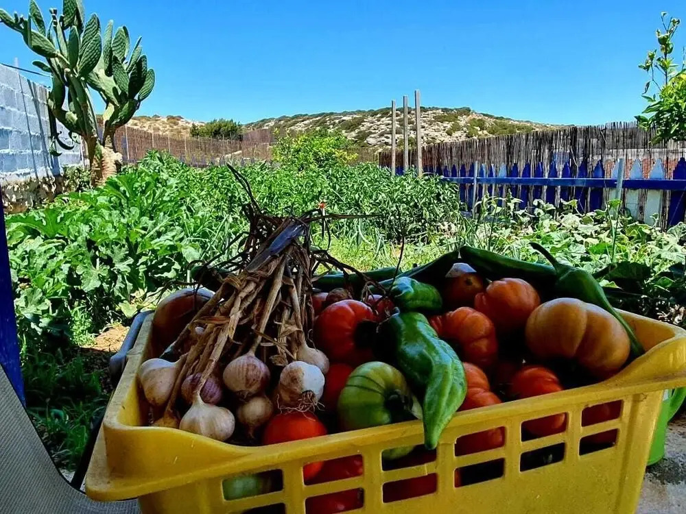 Kalliope Studios Karpathos