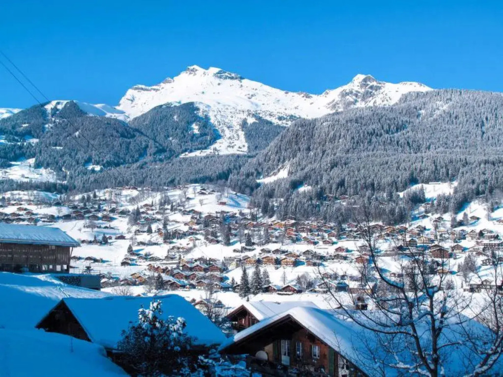 Chalet Abendrot 33047