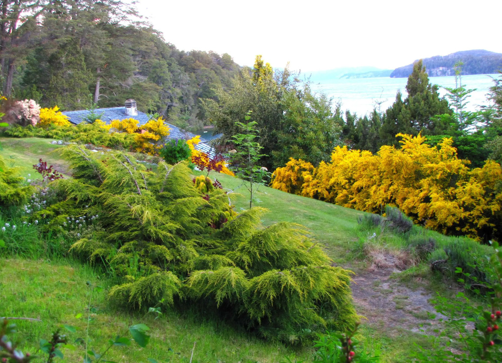 Hotel Angostura