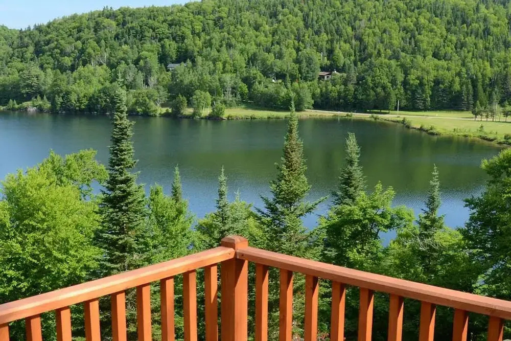 Chalet Blue Jay