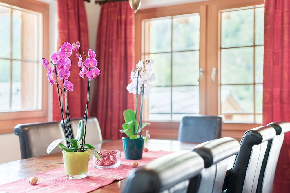 Chalet Ulysse