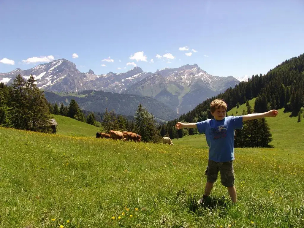 Chalet Melchior