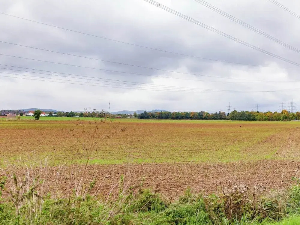 hundefreundliches Gruppenhaus in Hessen mit Garten