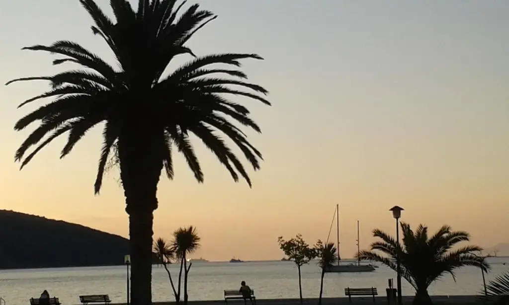 Sea to See