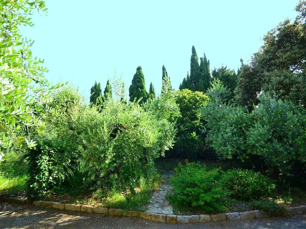 Comfortable Holiday Home in Castiglioncello With Garden